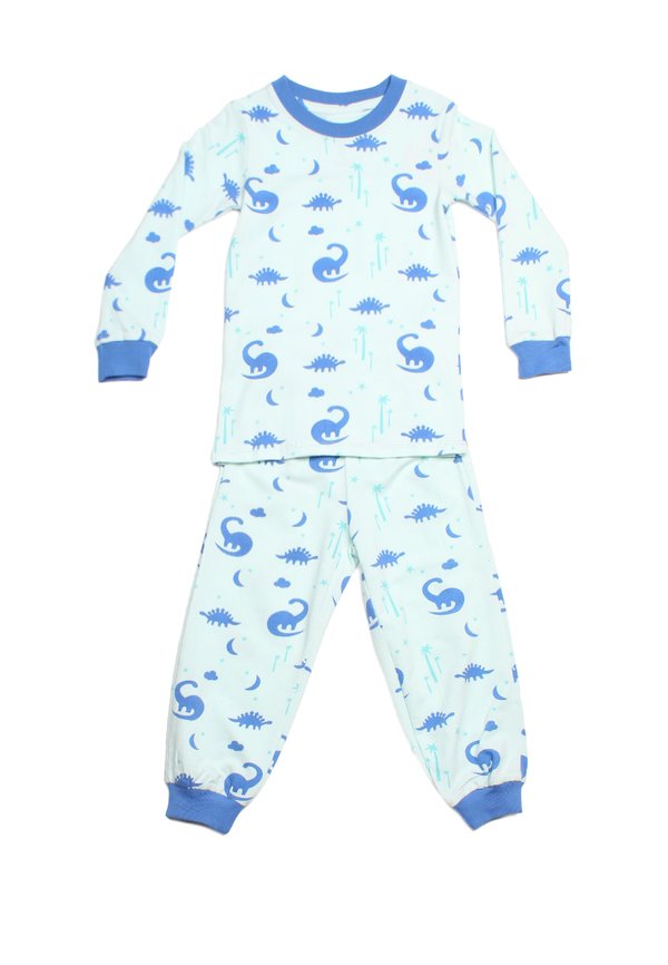 Dino Print Pyjamas Set GREEN/BLUE (Kids' Pyjamas)