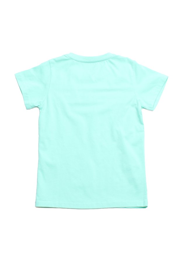 Twin Panel Peranakan Inspired Print T-Shirt GREEN (Boy's T-Shirt)