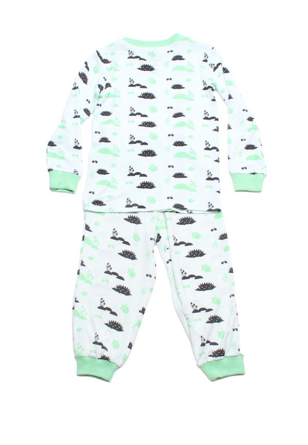 Magical Hedgehog Premium Kids' Pyjamas Set CYAN