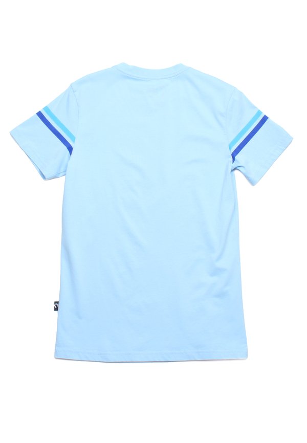 Twin Stripe Men's T-Shirt BLUE