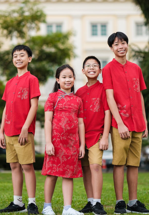 Chinoiserie Prints Cheongsam Inspired Girl's Dress RED